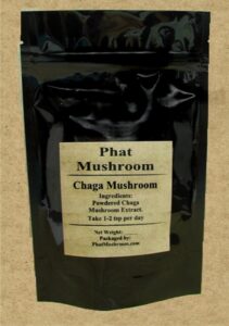 Chaga Mushroom Extract Powder