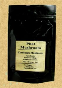 Cordyceps Mushroom Extract Powder