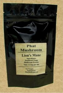 Lion's Mane Mushroom Extract Powder