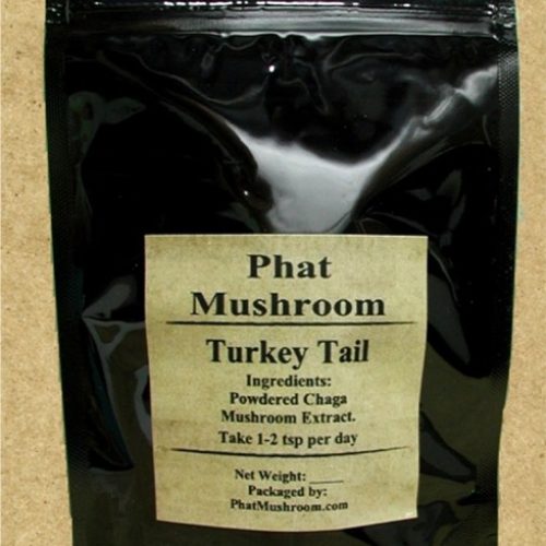 Turkey Tail Mushroom Extract